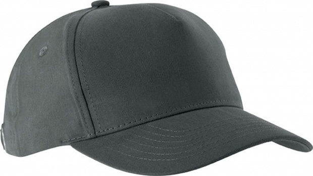 ACTION II - 5 PANELS CAP