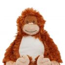 mm060-orangutan-a1.jpg