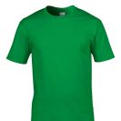 gi4100-irish_green-c1.jpg