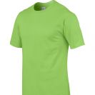 gi4100-lime-c2.jpg