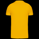 ka356-yellow-b1.png