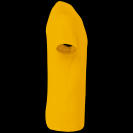 ka356-yellow-c1.png