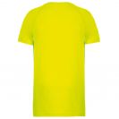 pa445-fluorescent_yellow-b1.jpg