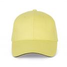 kp011-lemon_yellowdark_grey-a1.jpg